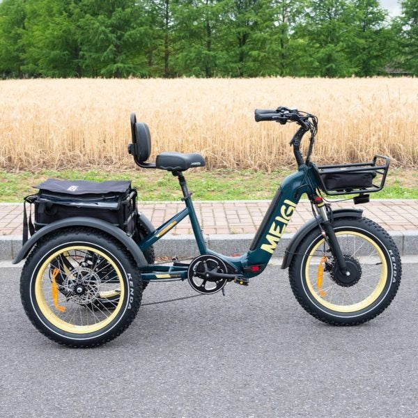 DWMEIGI Silverado 20 inch 48V/14Ah 750W Folding Electric Tricycle With Wide Tires, 150 kg - MG2301