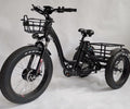 BaFang Fat Tire Electric Trike, 750W 48V 16AH Samsung Battery, 350 lbs Capacity