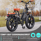 Electric Adult E-Bike 750W 48V 15AH 20in x 4.0 Fat Tire 2 Seater - UL2849