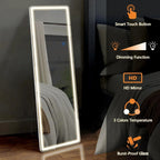 LED Full-Length Floor Mirror With Stand, 64 x 21 Inch