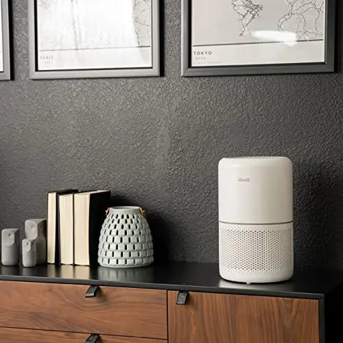 LEVOIT Air Purifier, Covers Up To 1095 Sq.Ft - Core 300