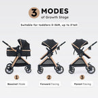 Accombe 2 In 1 Convertible Bassinet Baby Stroller For Infants And Newborns 0-36 Months