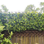 Glant Willow Expandable Garden Trellis Fence - 22X120 inch