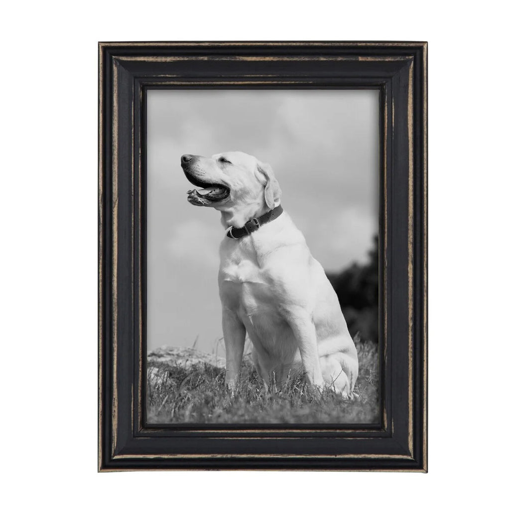 10-Piece Wood Gallery Wall Picture Frame Set - 11 x 14 in