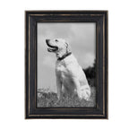 10-Piece Wood Gallery Wall Picture Frame Set - 11 x 14 in