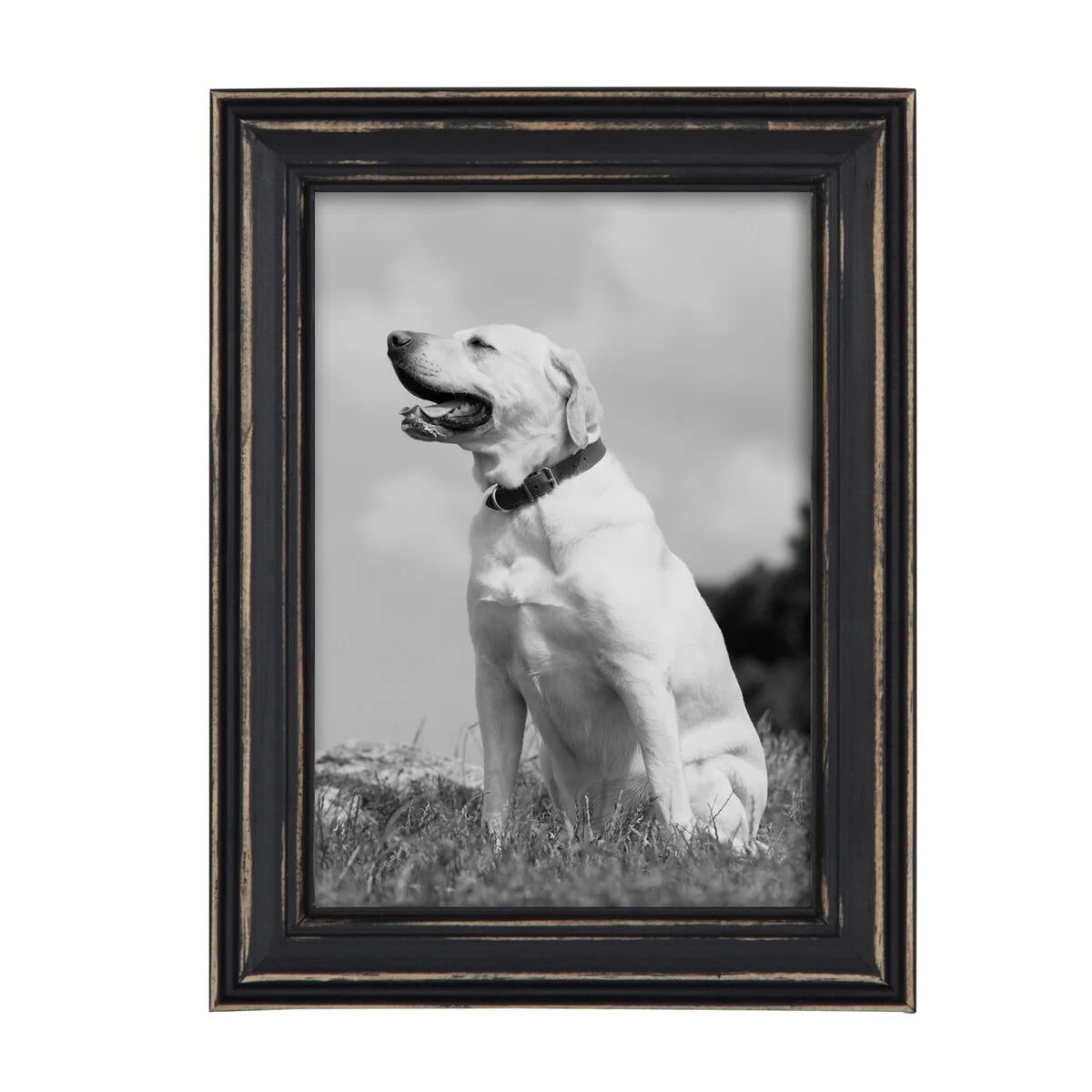 10-Piece Wood Gallery Wall Picture Frame Set - 11 x 14 in