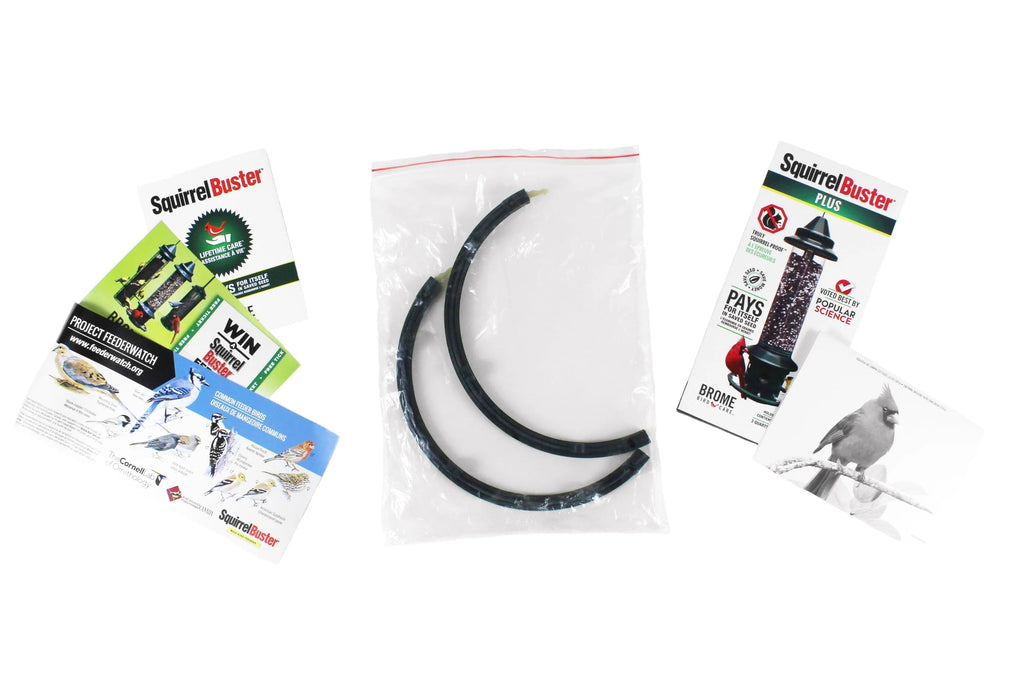 Brome Squirrel Buster Plus Tube Bird Feeder, 23 in, 3 Qt, 2 Pack - Cardinal Perch Ring