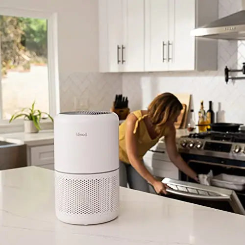 LEVOIT Air Purifier, Covers Up To 1095 Sq.Ft - Core 300