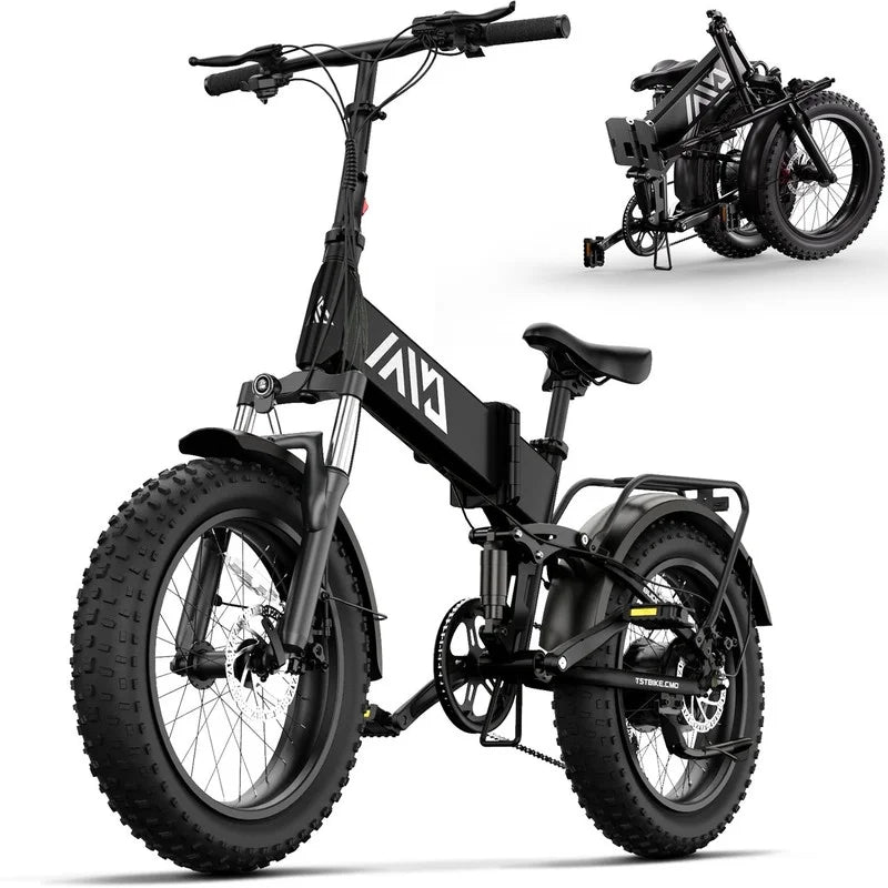 TST Foldable Electric Bike, 20in 4.0 Fat Tire, 48V 13Ah, 750W, Black - Buddy Pro