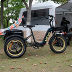 DWMEIGI Silverado 20 inch 48V/14Ah 750W Folding Electric Tricycle With Wide Tires, 150 kg - MG2301