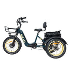 DWMEIGI Silverado 20 inch 48V/14Ah 750W Folding Electric Tricycle With Wide Tires, 150 kg - MG2301